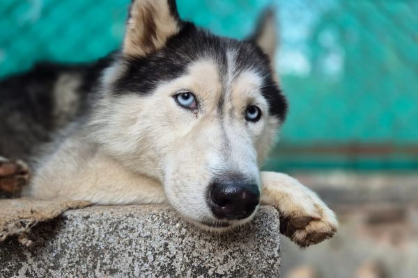 WhatsApp Image 2026-03-02 at 12.49.23 PM